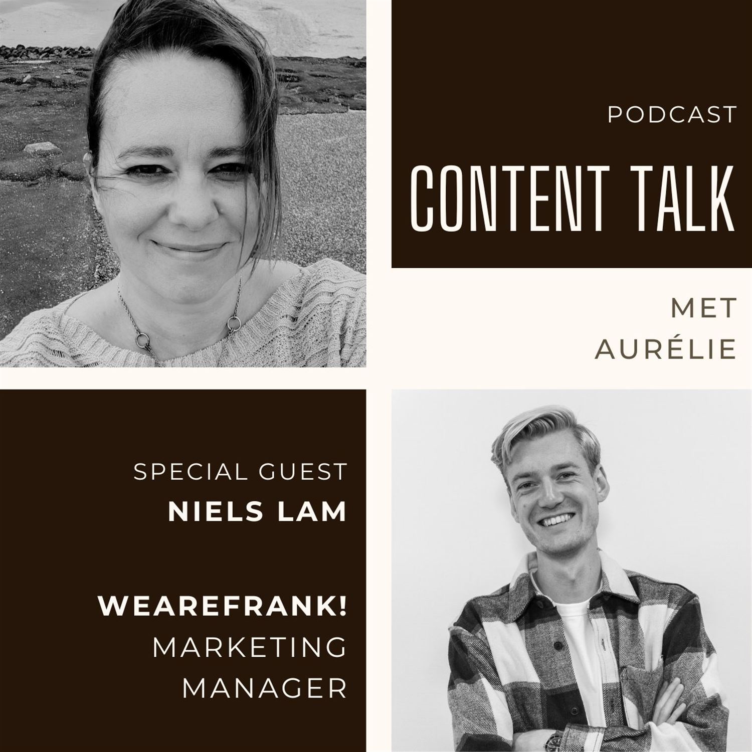 Open Source Succes: Het Verhaal van WeAreFrank! met Niels Lam #313 Artwork